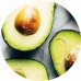 Avocado C/O: Vital Herb